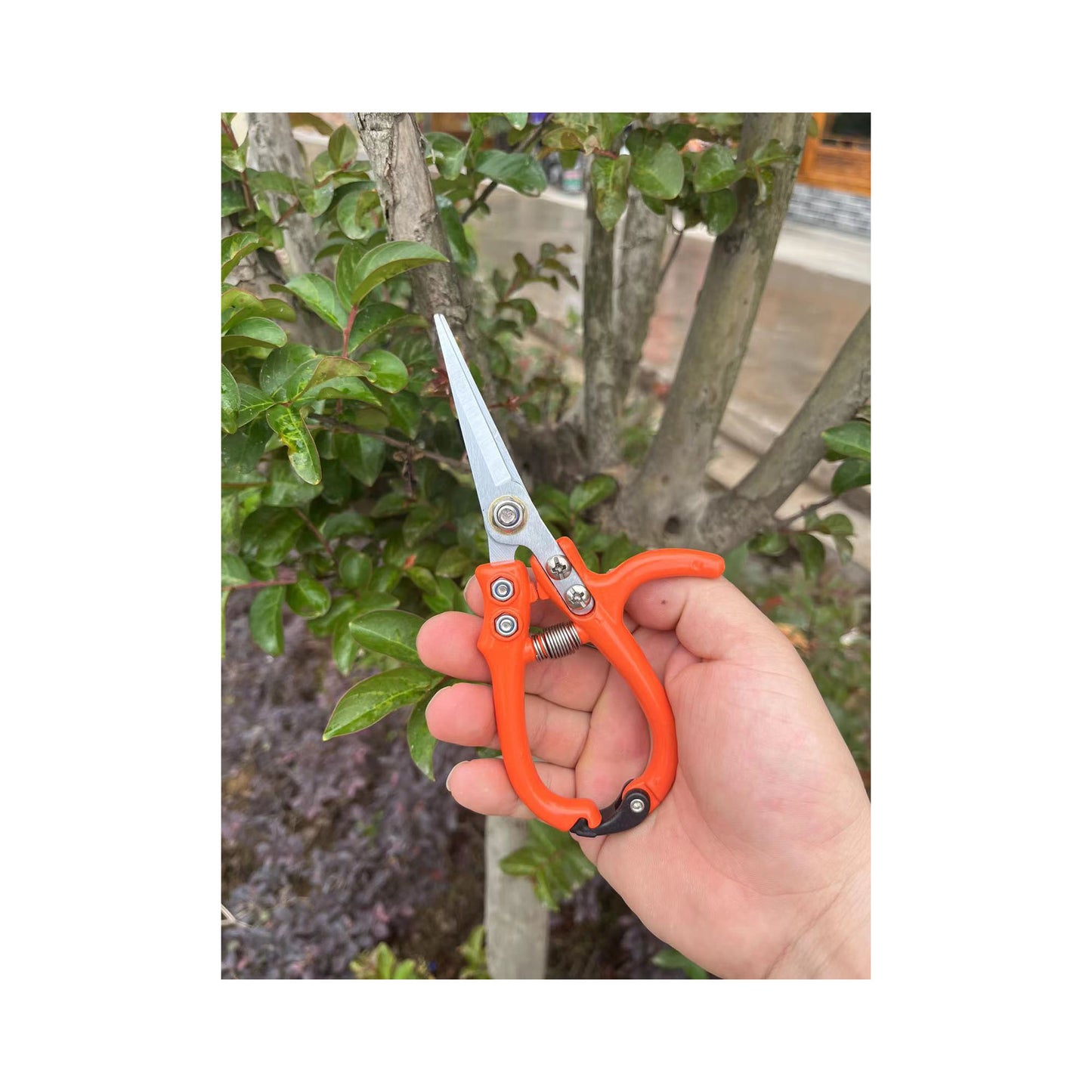 Heavy-Duty Garden Pruning Shears with Safety Lock & Stainless Steel Spring